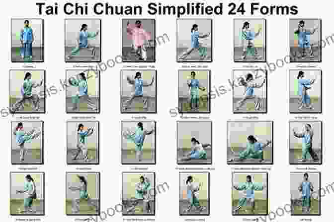 Animated Tai Chi Form Sequence Demonstrating The Flow Of Movements Tai Chi Odyssey Vol 1: History And Practical Methods