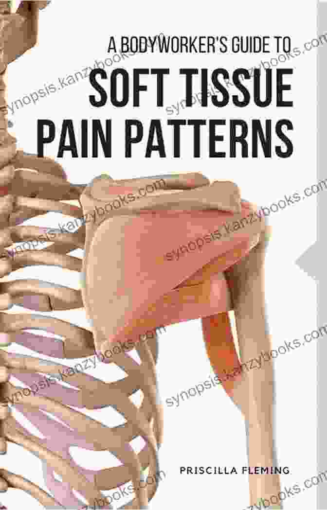 Bodyworker Examining A Client's Soft Tissues To Identify Pain Patterns A Bodyworker S Guide To Soft Tissue Pain Patterns