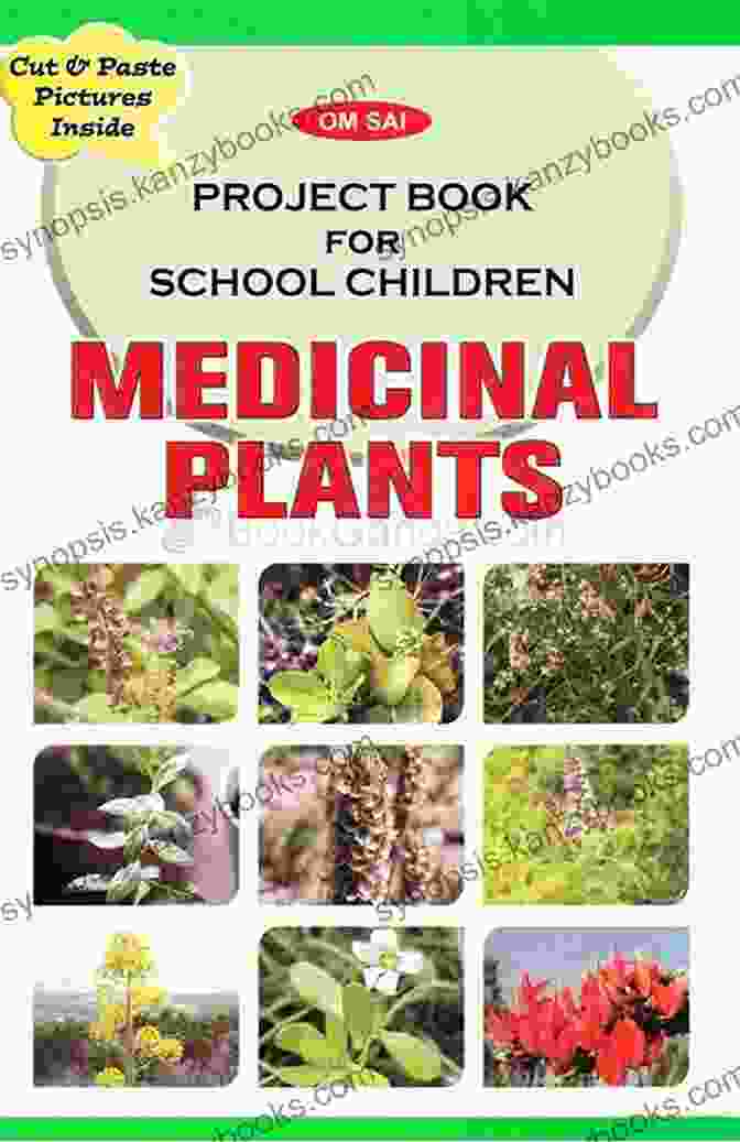 Children Learning About Medicinal Plants The Western Herbal Tradition: 2000 Years Of Medicinal Plant Knowledge