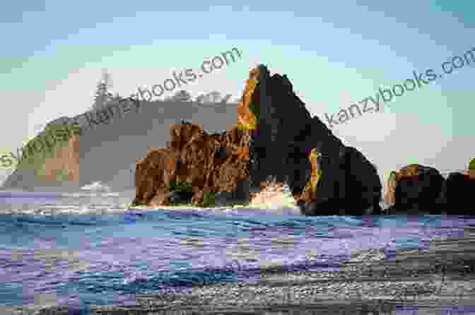 Rocky Coastline With Crashing Waves And Towering Sea Stacks In Olympic National Park Best Wildflower Hikes Western Washington: Year Round Opportunities Including Mount Rainier And Olympic National Parks And The North Cascades (Where To Hike)