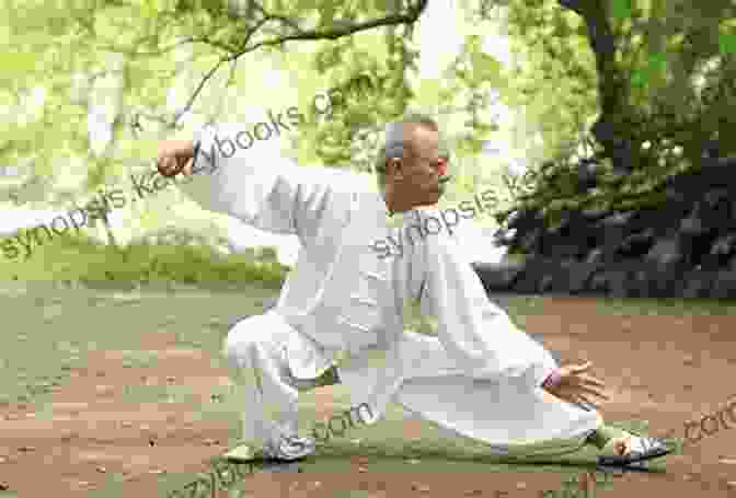 Tai Chi Practitioner Meditating In An Ancient Temple Tai Chi Odyssey Vol 1: History And Practical Methods