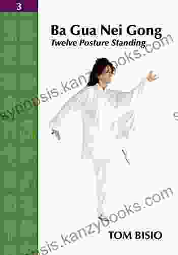 Ba Gua Nei Gong Vol 3: Twelve Posture Standing