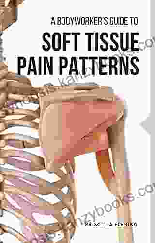 A Bodyworker s Guide to Soft Tissue Pain Patterns