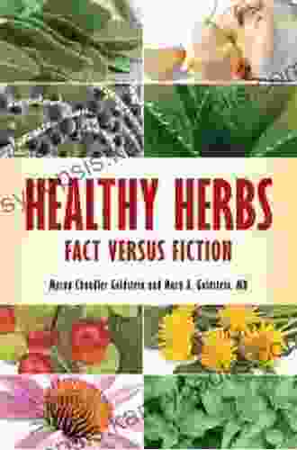 Healthy Herbs: Fact versus Fiction