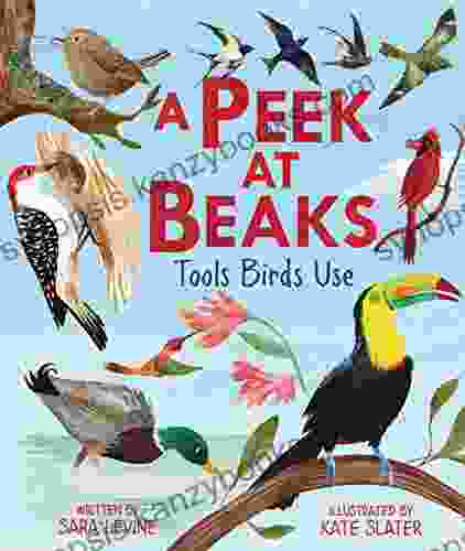 A Peek At Beaks: Tools Birds Use