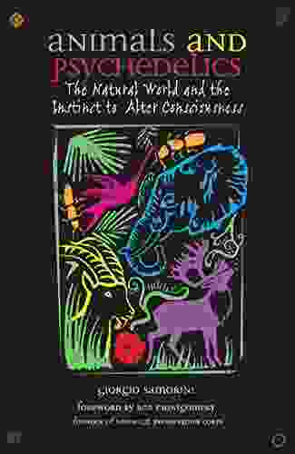 Animals and Psychedelics: The Natural World and the Instinct to Alter Consciousness