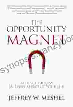 The Opportunity Magnet: Attract Success In Every Aspect Of Your Life