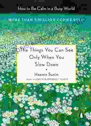 The Things You Can See Only When You Slow Down: How To Be Calm In A Busy World